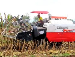 Macam Jenis Mesin Panen Jagung yang Jadi Andalan Petani Modern