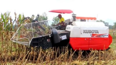Macam Jenis Mesin Panen Jagung yang Jadi Andalan Petani Modern