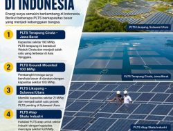 4 PLTS Terbesar Di Indonesia, Salah Satunya Ada Di Jawa Barat